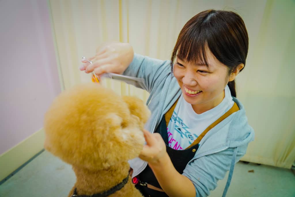 埼玉県川口市東川口のトリミングサロン ドッグサロンハピネス 東川口駅徒歩2分